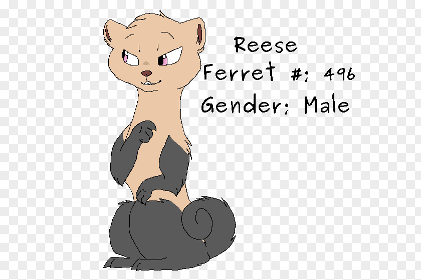 Ferret Drawing References Cat Lion Mammal Bear Canidae PNG