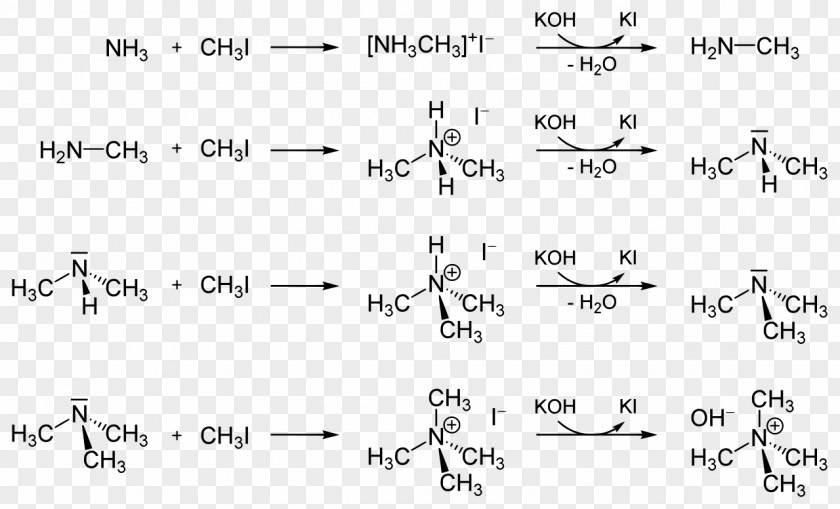 Man Talk Methyl Iodide Ammonium Group PNG