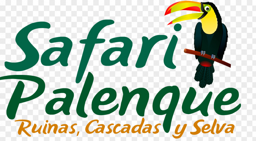 Safari Logo Palenque Agua Azul Misol Há San Cristóbal De Las Casas Maya Civilization PNG