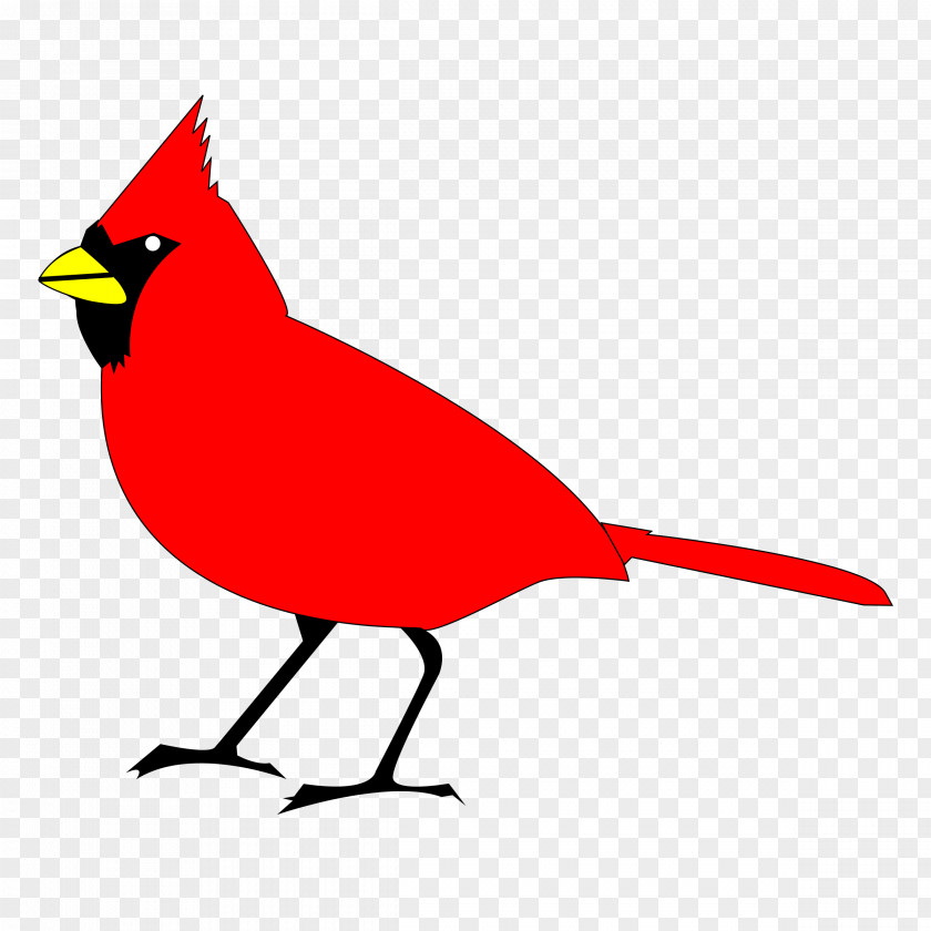 Simple Bird Northern Cardinal St. Louis Cardinals Clip Art PNG
