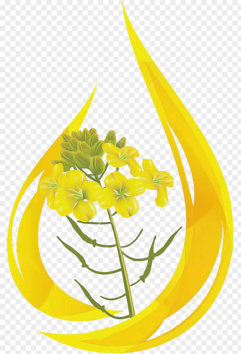 Yellow Flower Plant Cut Flowers Ylang-ylang PNG