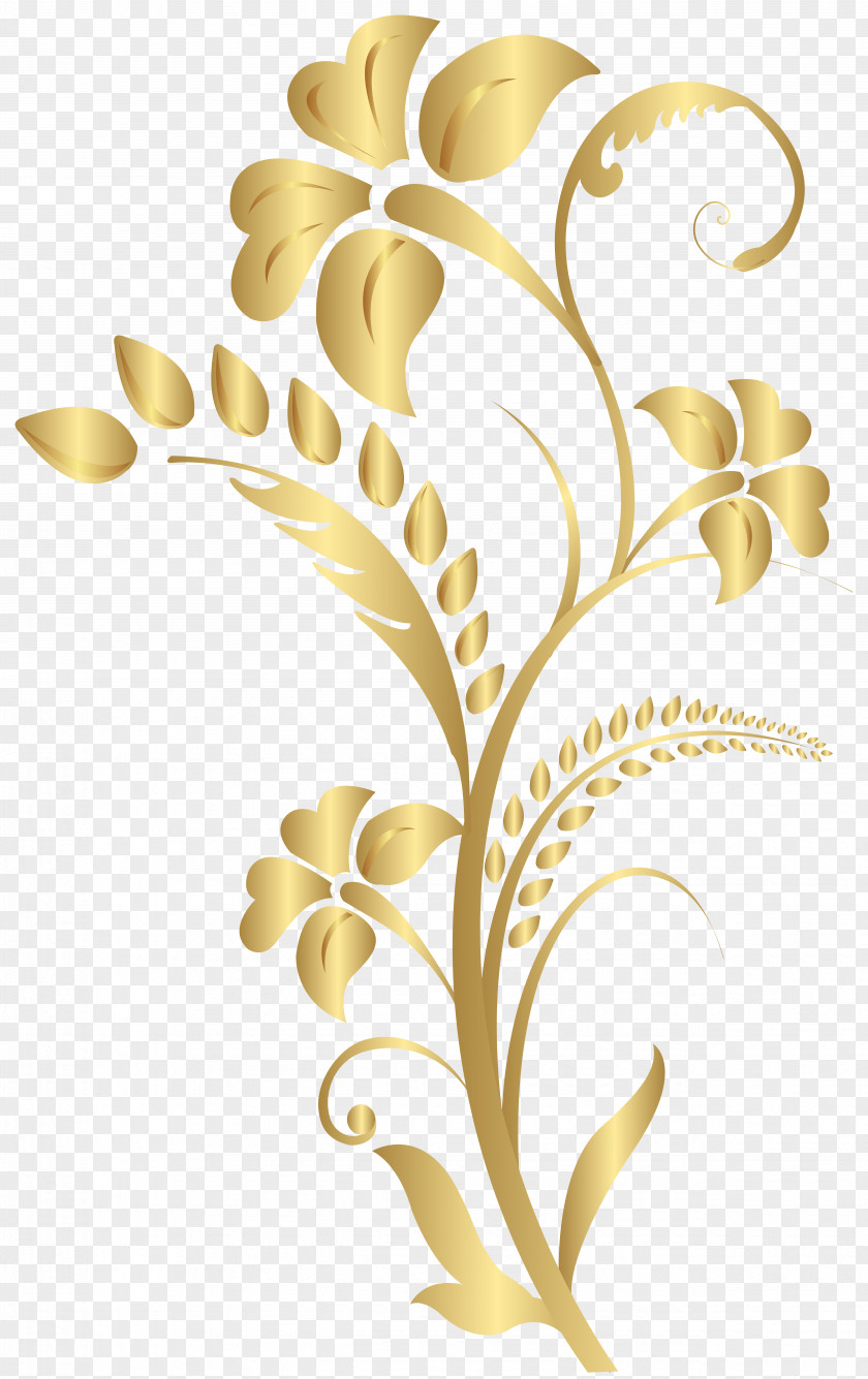 Clip Art Floral Design Image PNG