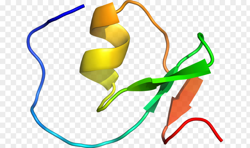 Clip Art Plant Stem Product Design Line PNG