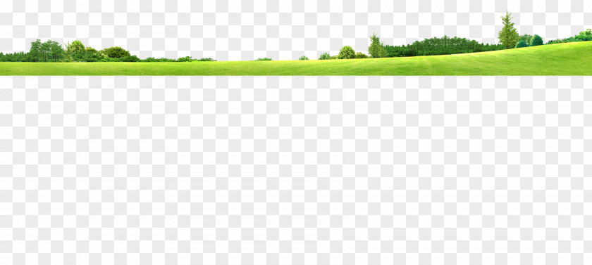 Green Grass Lawn Brand Pattern PNG
