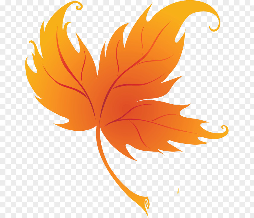 Maple Leaf PNG