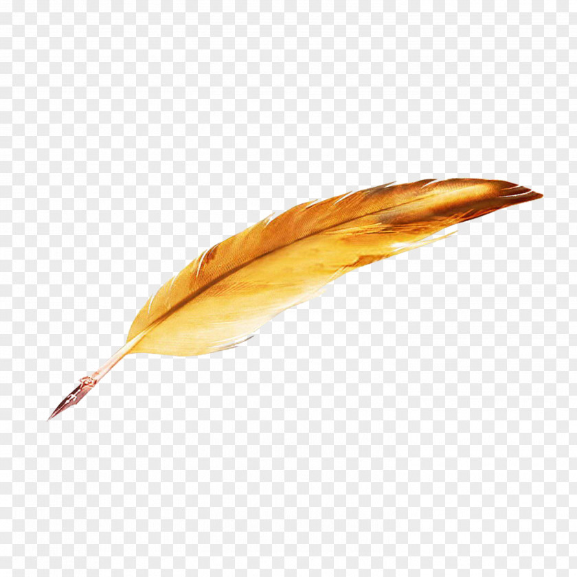Pen Paper Quill PNG