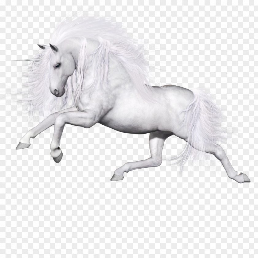 Unicor Ferghana Horse Unicorn Pegasus Animal Pony PNG