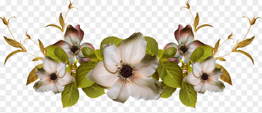 50 Picture Frames Flower Floral Design Clip Art PNG