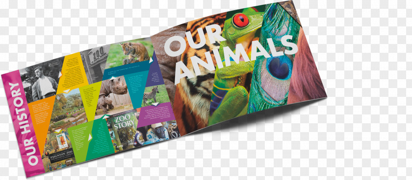 Business Brochure Paignton Zoo Graphic Design PNG