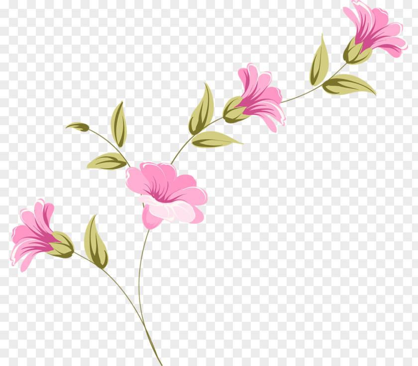 Floral Design Ты — моя нежность Cut Flowers Peony PNG