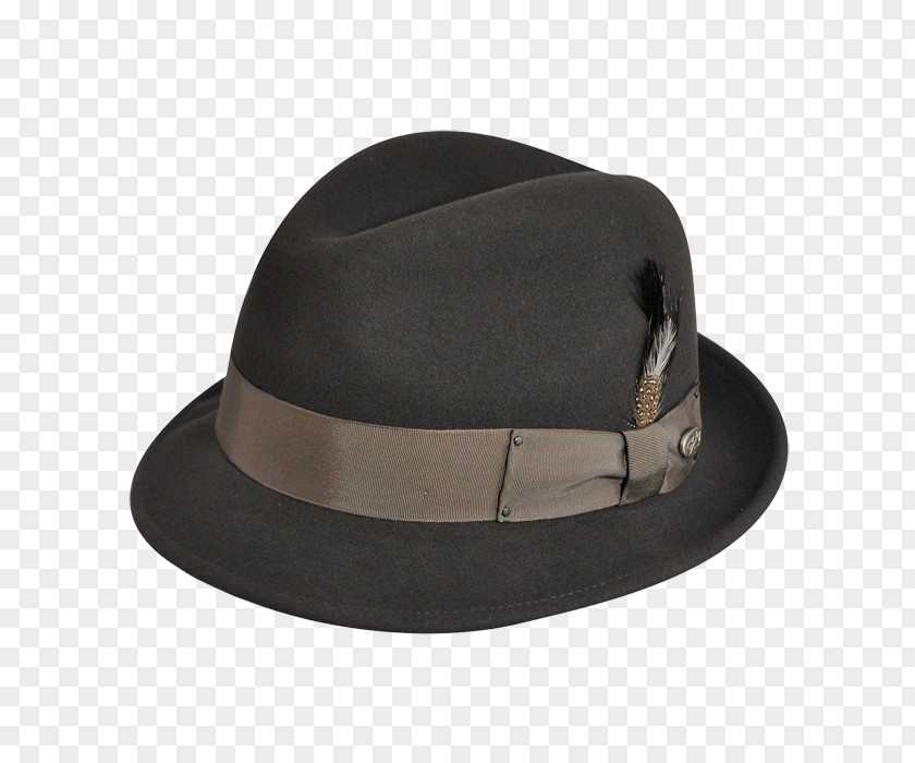 Hat Fedora Hollywood Bailey Co Trilby PNG