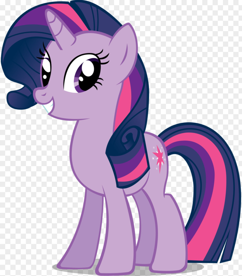 My Little Pony Twilight Sparkle Pinkie Pie Rarity Derpy Hooves PNG