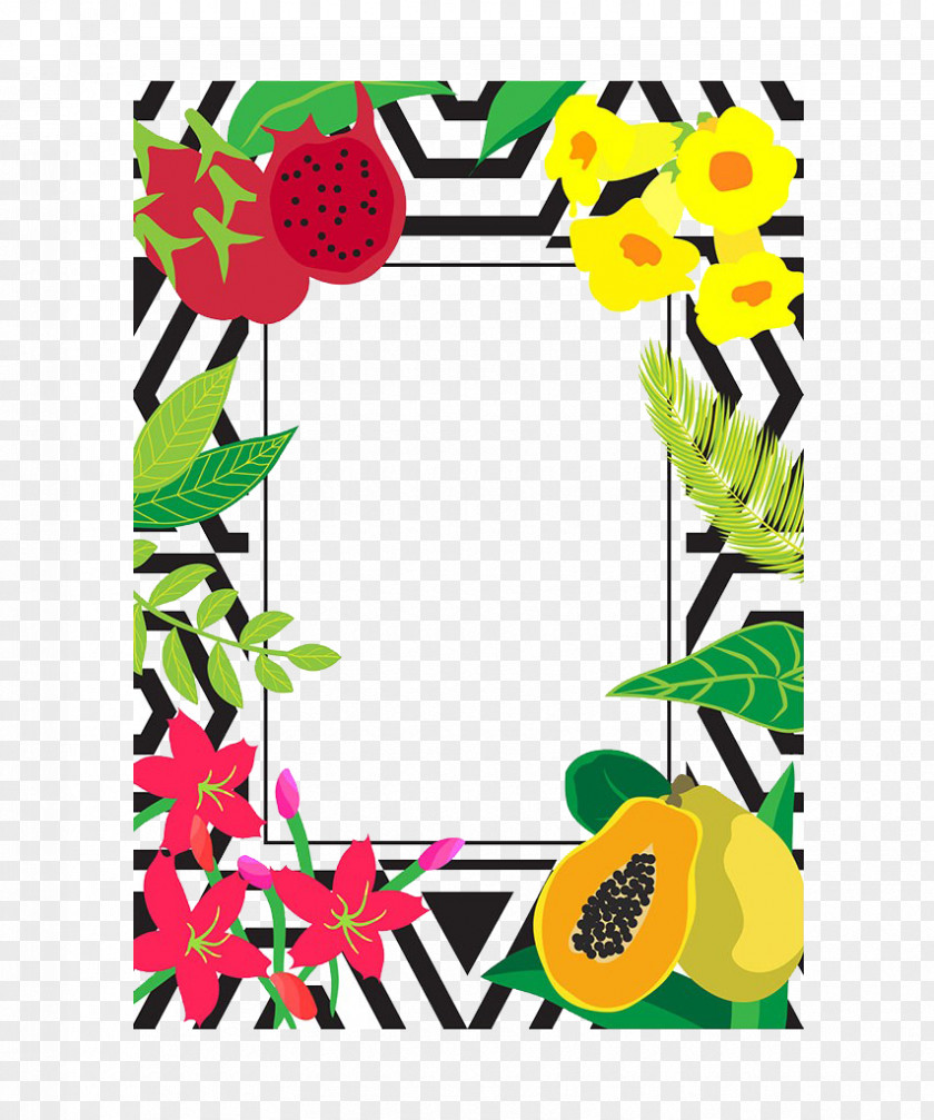 Papaya Borders Fruit Illustration PNG