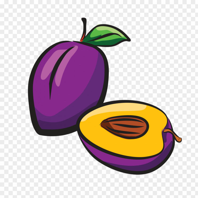 Plum Drawing Sketch PNG