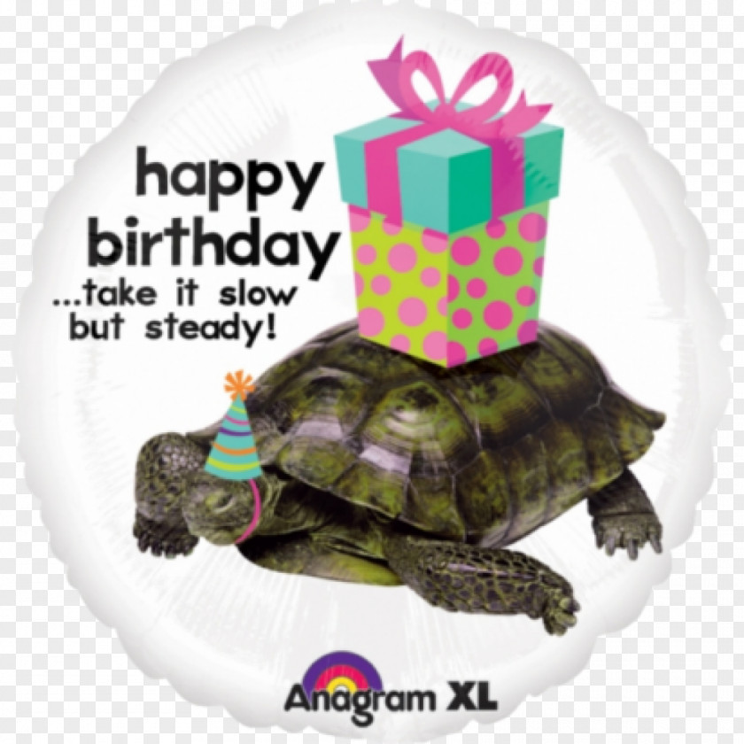 Turtle Birthday Tortoise Mylar Balloon PNG