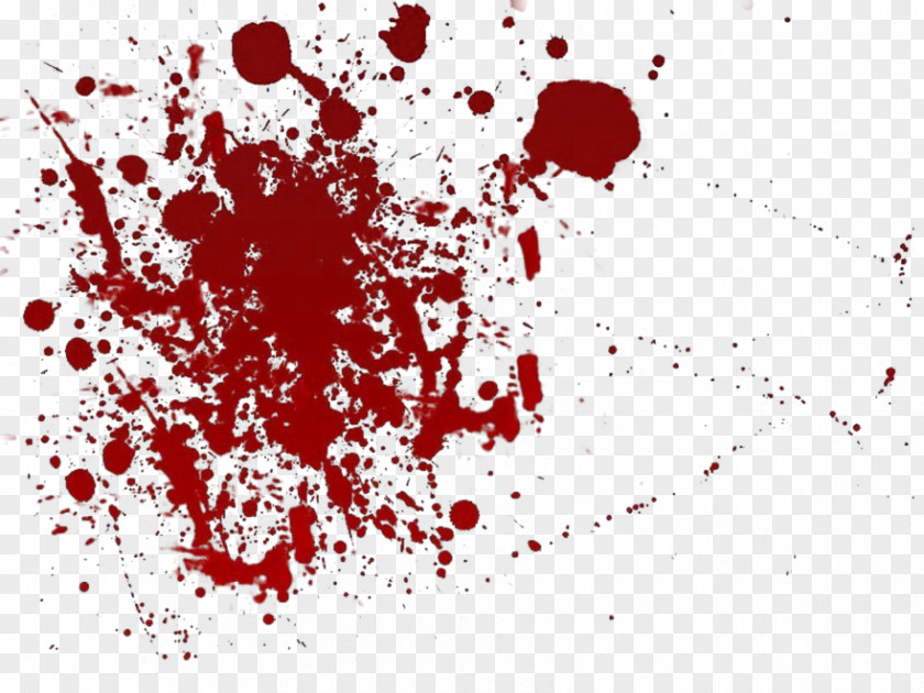 Blood Bloodstain Pattern Analysis Forensic Science Clip Art PNG