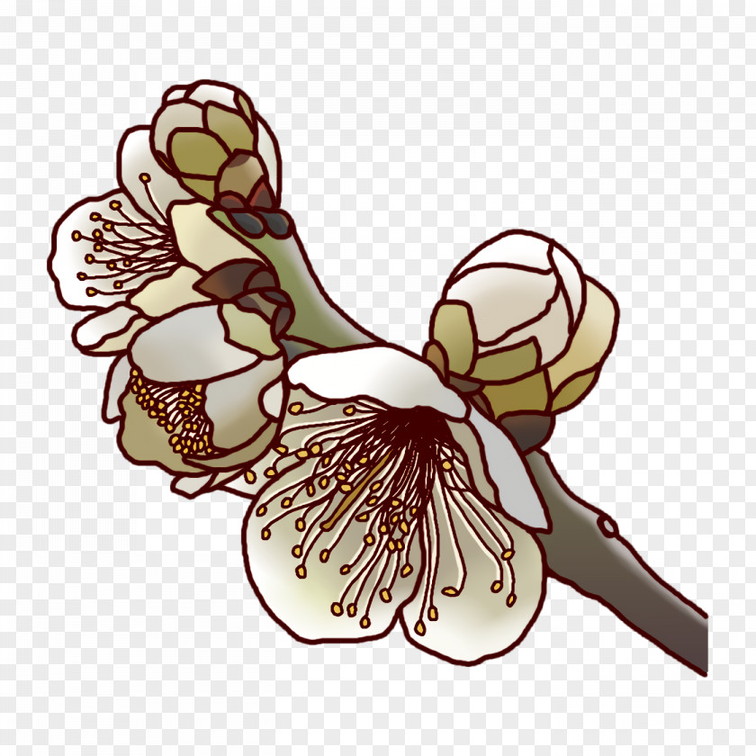 Cut Flowers Petal Flower Plants Science PNG