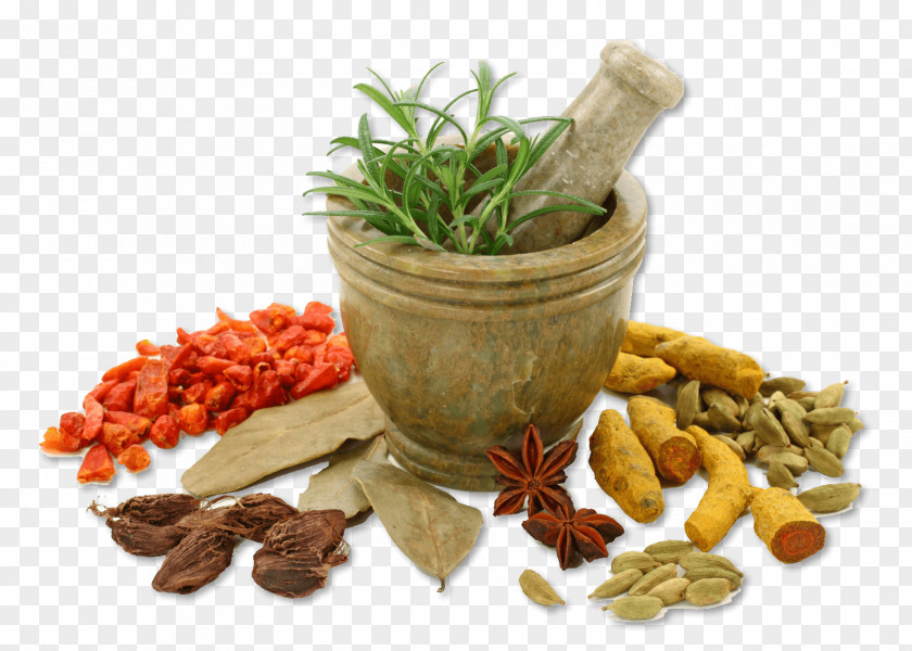 Herbal Ayurveda Medicine Therapy Alternative Health Services Herbalism PNG