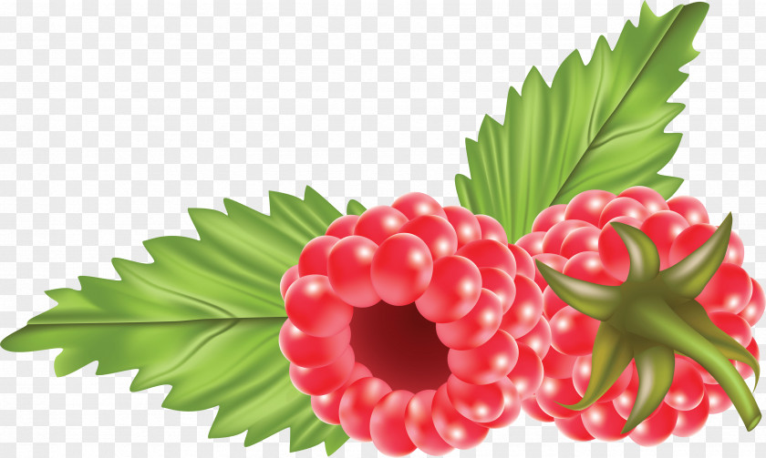 Passionfruit Raspberry Fruit Clip Art PNG