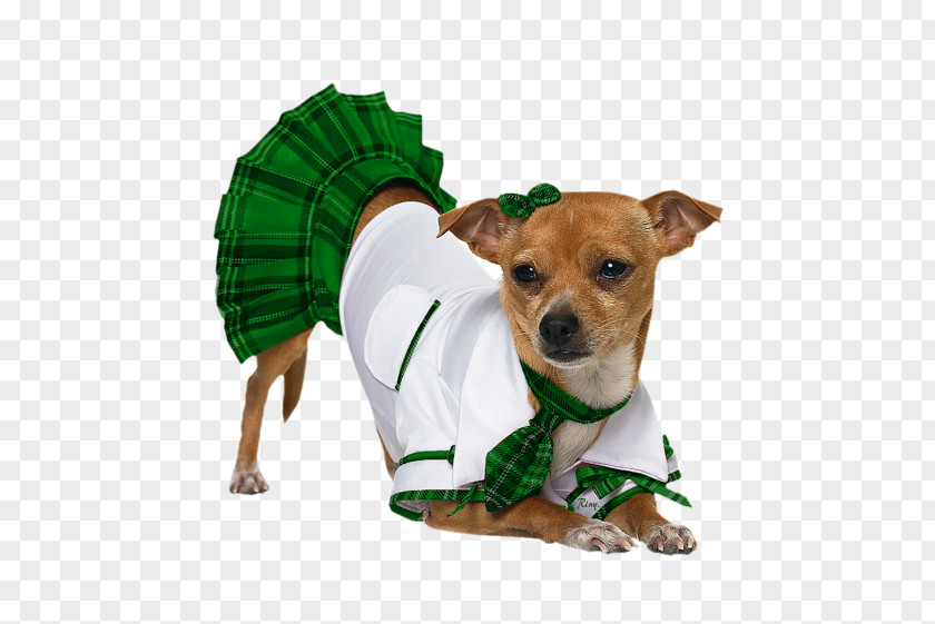 Puppy Chihuahua Pug Halloween Costume PNG