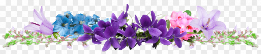 Purple Lavender Violet Lilac Desktop Wallpaper PNG