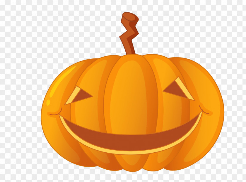 Halloween Pumpkin Free Download Jack-o'-lantern Cucurbita Maxima Carving PNG