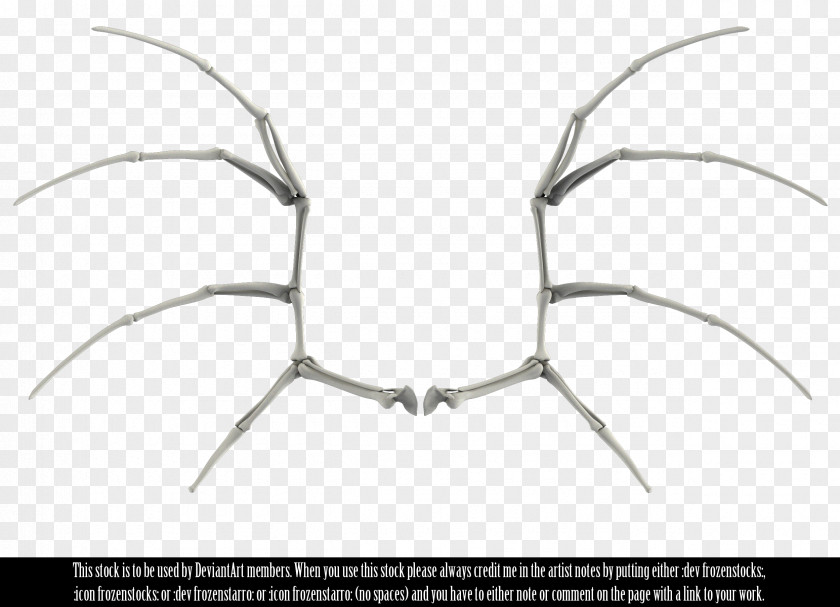 Hand-painted Wings Bone Bat Wing Development Data PNG