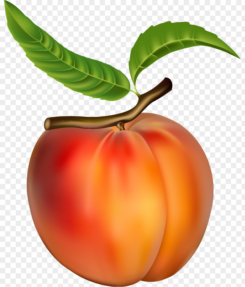 Juice Peach Fruit Clip Art PNG