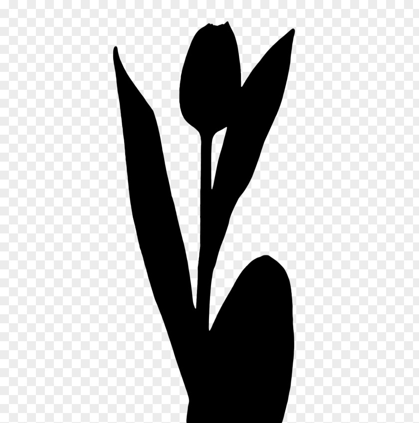 Leaf Finger Flower Plant Stem Clip Art PNG