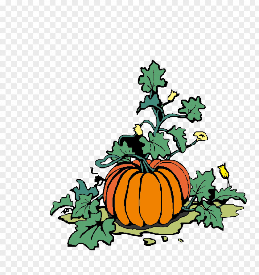 Pumpkin Jack-o-lantern Halloween Vegetable Clip Art PNG