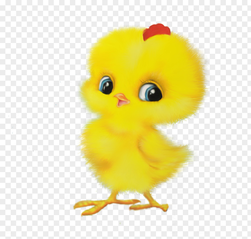 Cute Chick Animal Chicken Child Game Easter Egger PNG