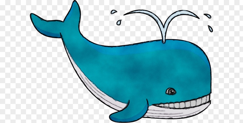Fish Aqua Cartoon Bottlenose Dolphin Turquoise PNG