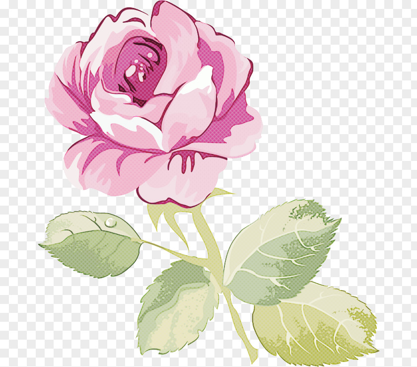 Garden Roses PNG