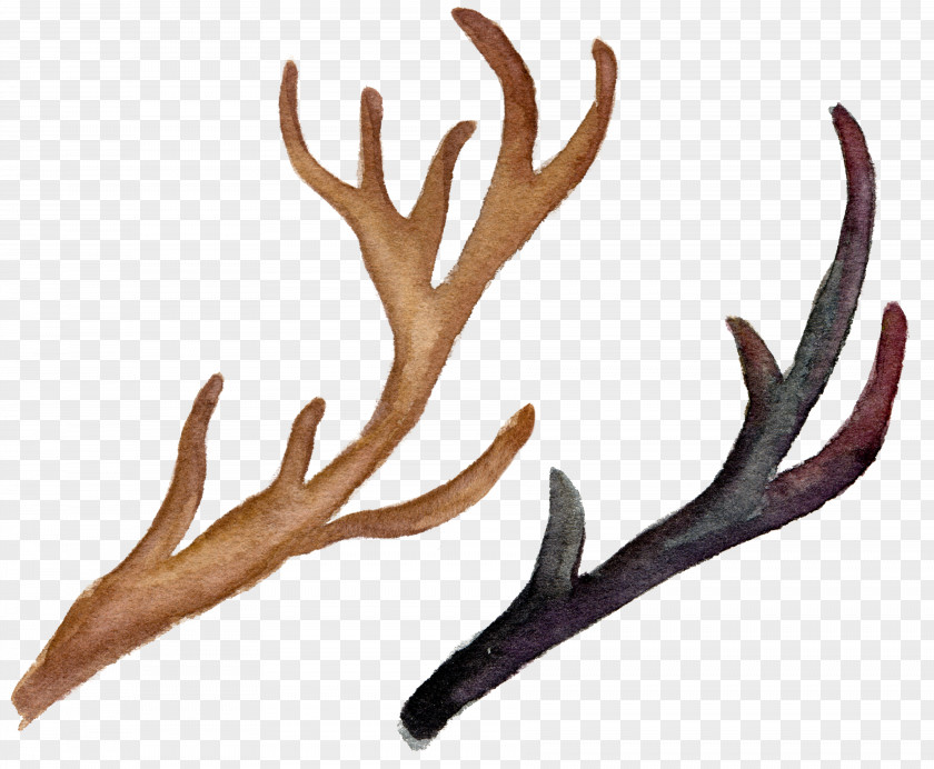 Hand-painted Watercolor Antlers Reindeer Antler Flower Logo PNG