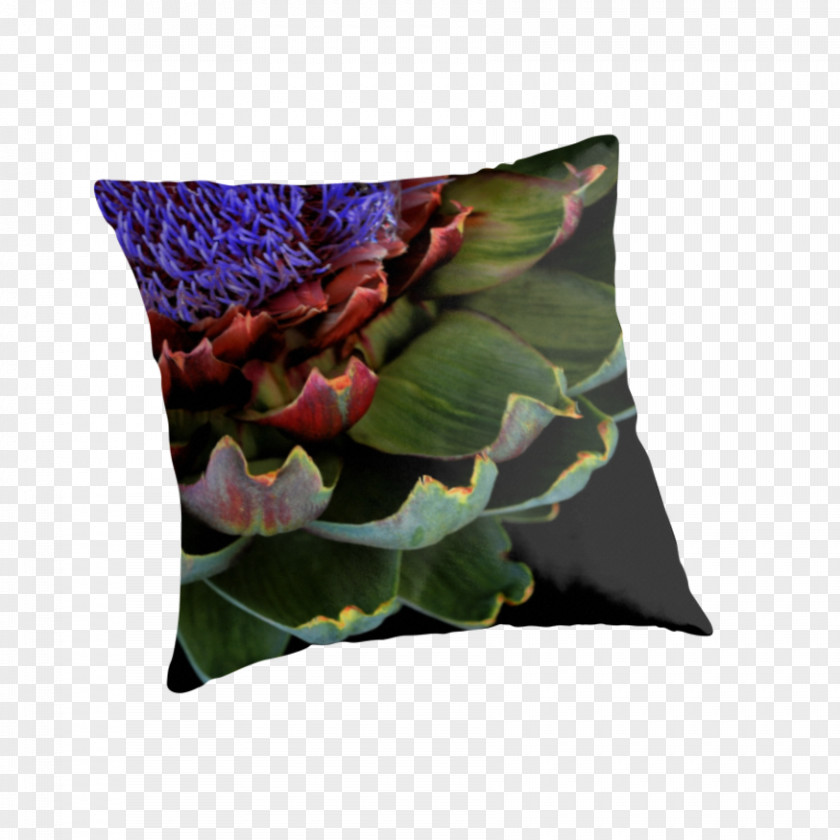 Pillow Throw Pillows Cushion Plant PNG