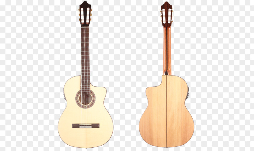 Acoustic Guitar Tiple Cuatro Cavaquinho Acoustic-electric PNG