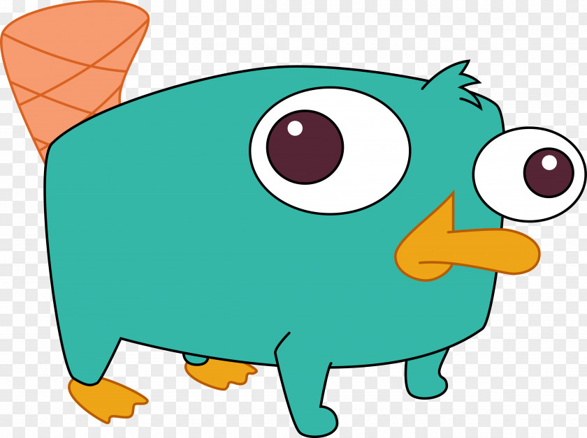 Child Perry The Platypus Phineas Flynn Ferb Fletcher PNG