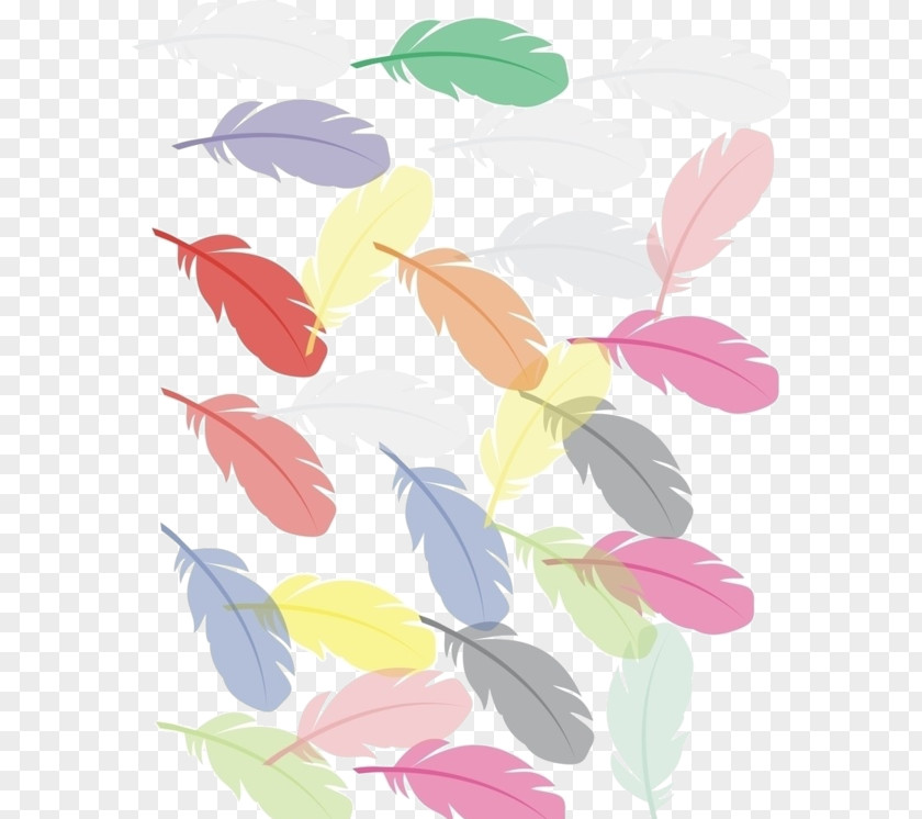 Color Feathers Creative Bird Feather Clip Art PNG