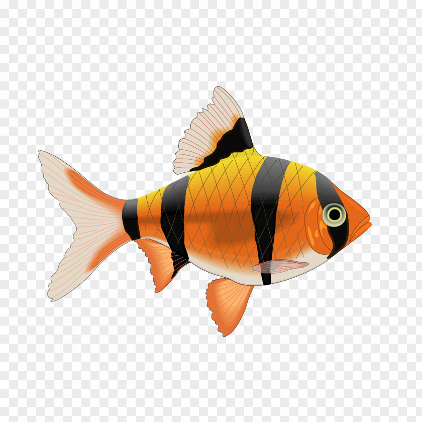 Fish Tropical Tile Tigerfish Decal PNG