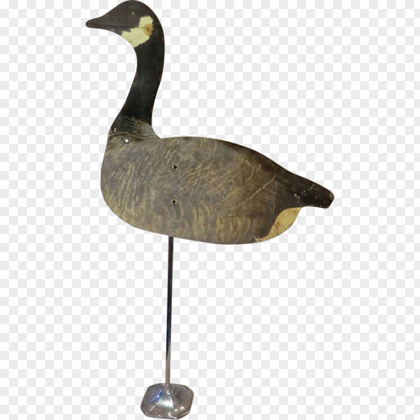Goose Duck Water Bird Anatidae PNG