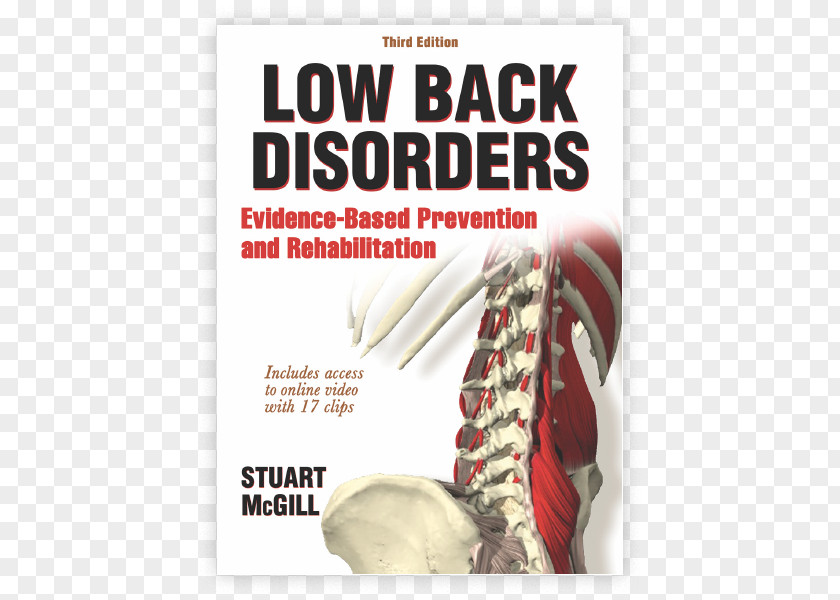 Low Third Back Disorders: Evidence-based Prevention And Rehabilitation Ultimate Fitness Performance Pain In Spine Practice PNG