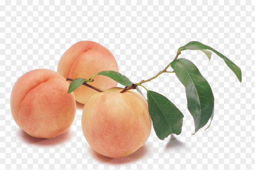 Peach Melba Silkie Auglis PNG