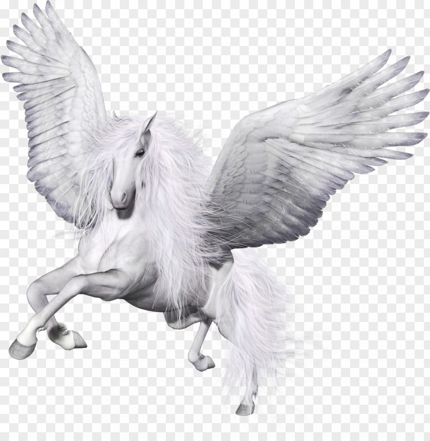 Pegasus Clip Art PNG