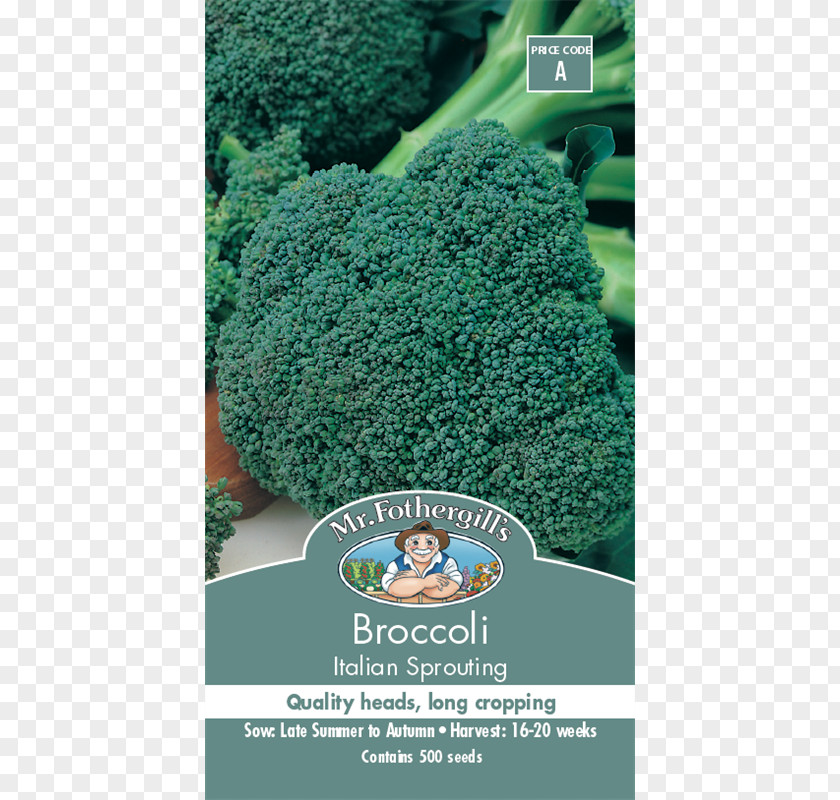 Broccoli Sprouts Heirloom Plant Leaf Vegetable Cherry Tomato PNG