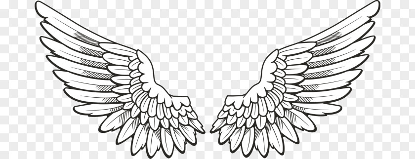 Hand-painted Angel Wings PNG angel wings clipart PNG