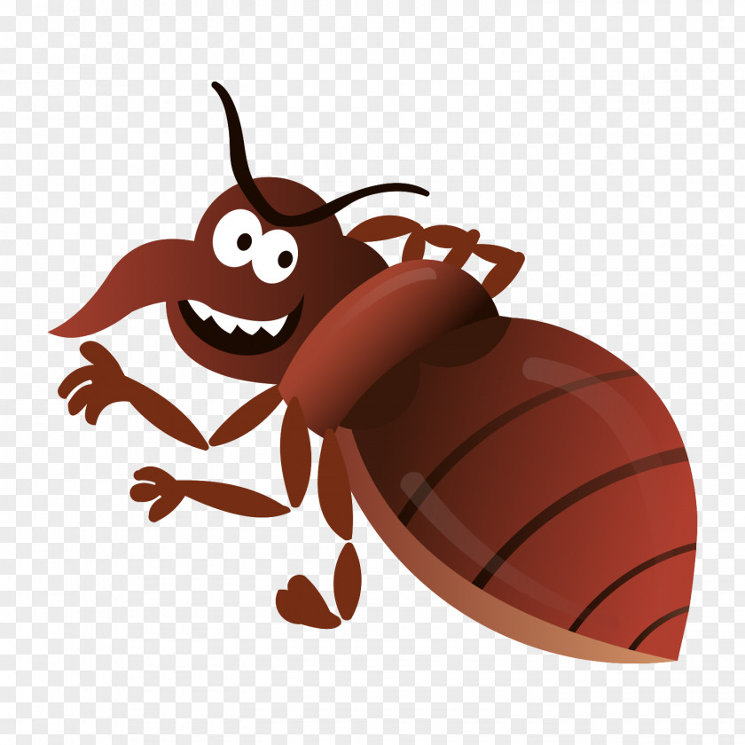 Insect Beetle Image Clip Art PNG