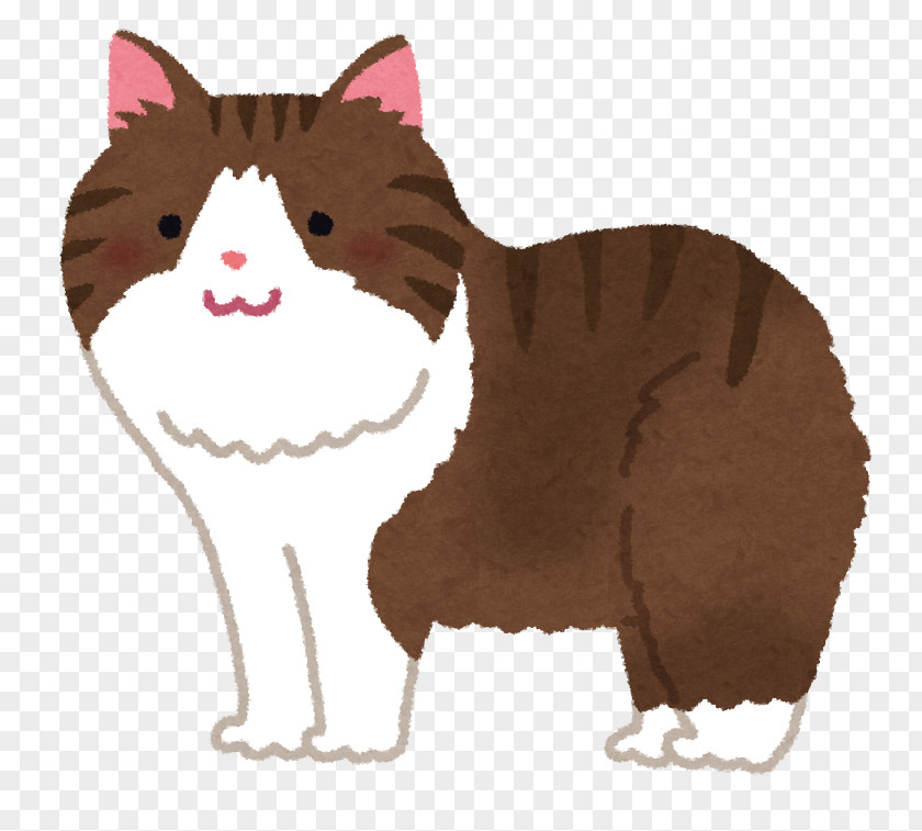 Kitten Whiskers Domestic Short-haired Cat Dog PNG