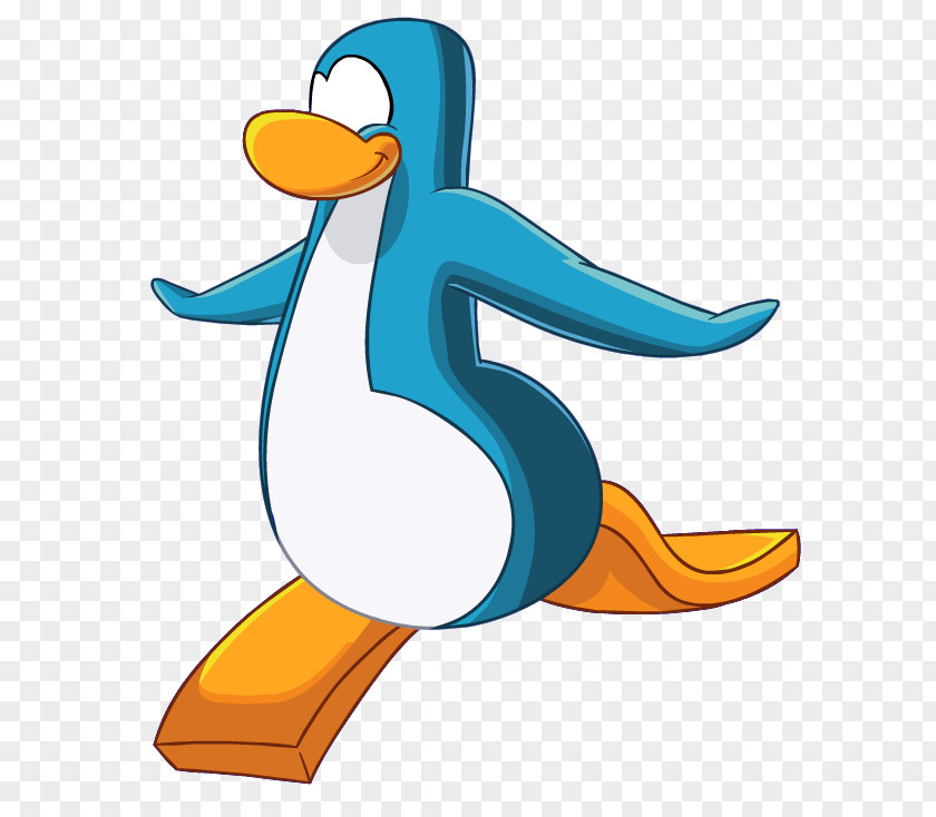 Penguin Club Flightless Bird Little PNG