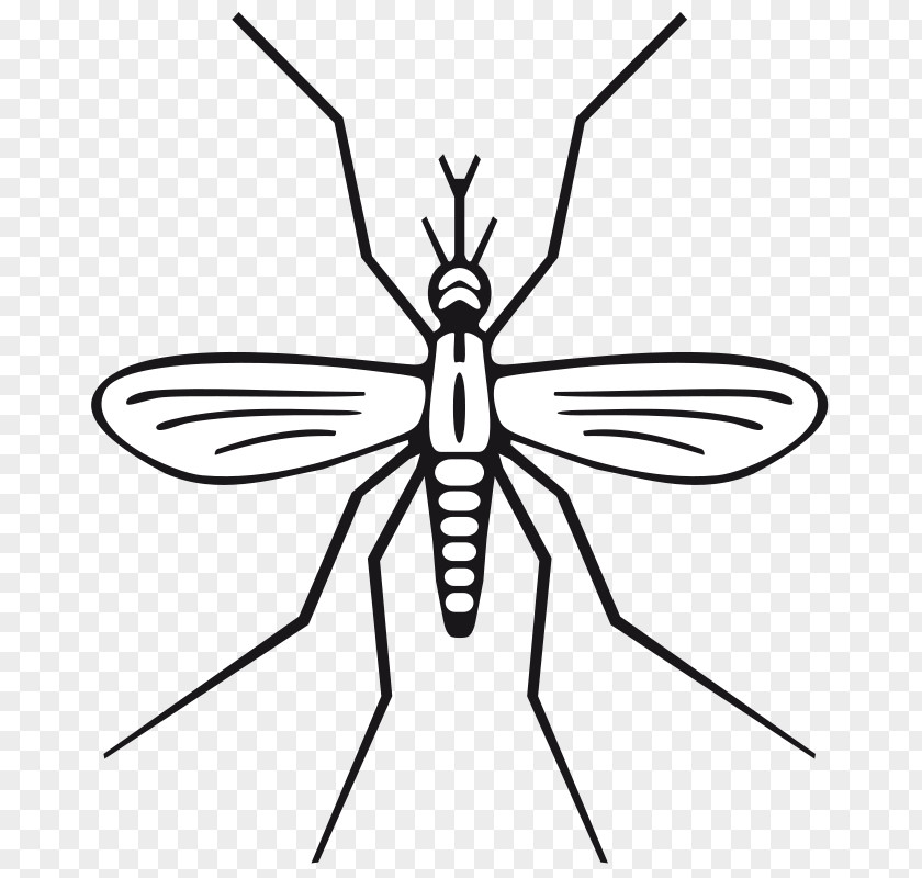 Us Holiday Mosquito Clip Art PNG