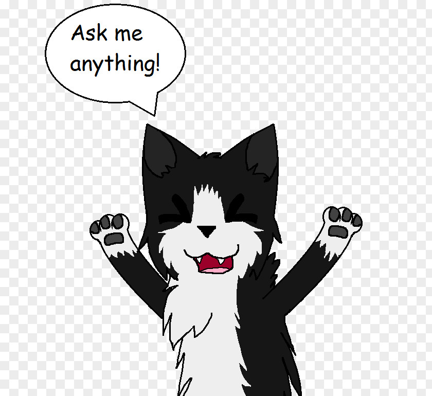 Ask Anything Whiskers Kitten Domestic Short-haired Cat Dog PNG